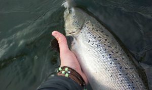 Faðmurinn armband málband