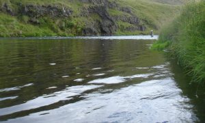 Veiðiflugur laxaflugur silungaflugur frá Reiðu Öndinni